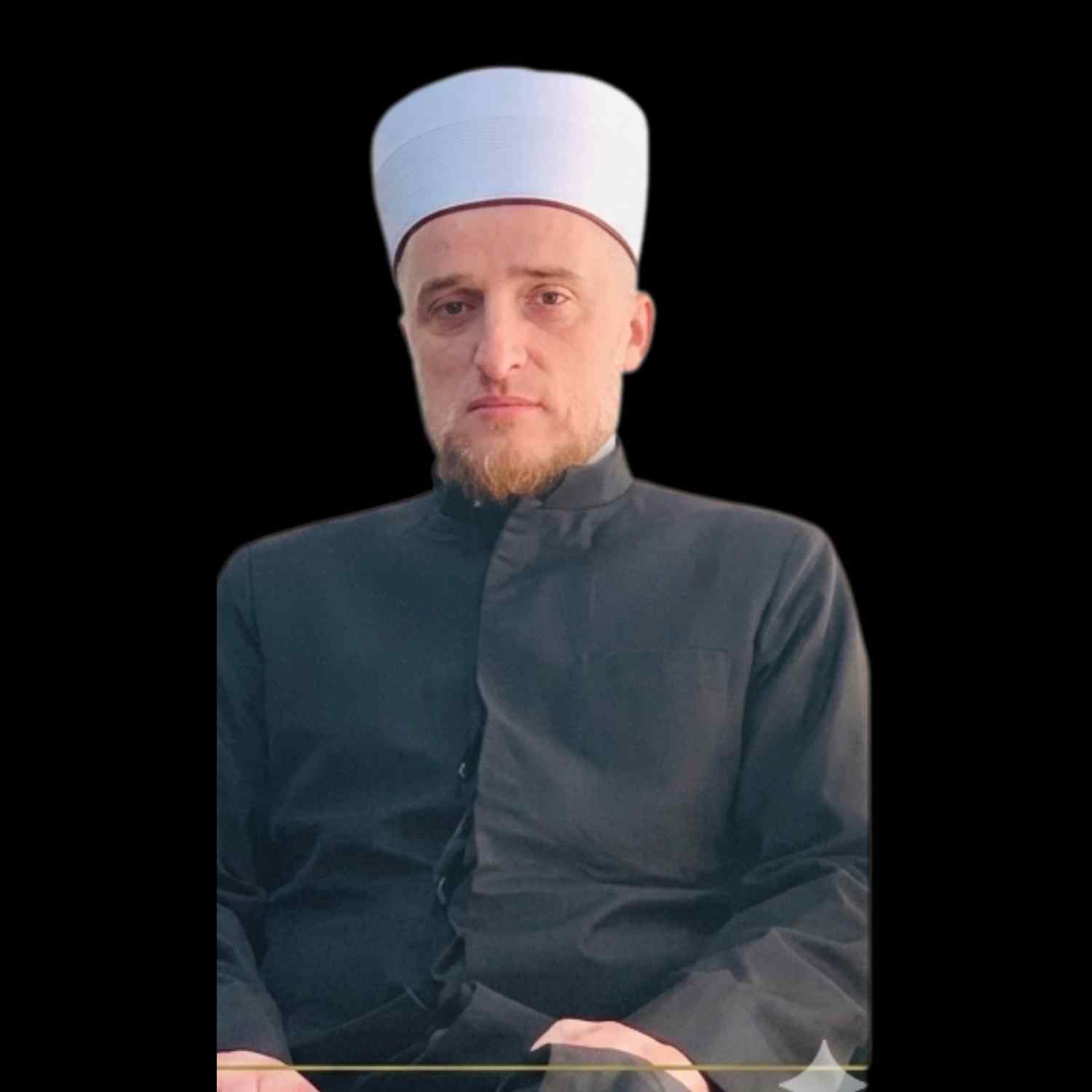 Prof. Dr. Enver Omerović